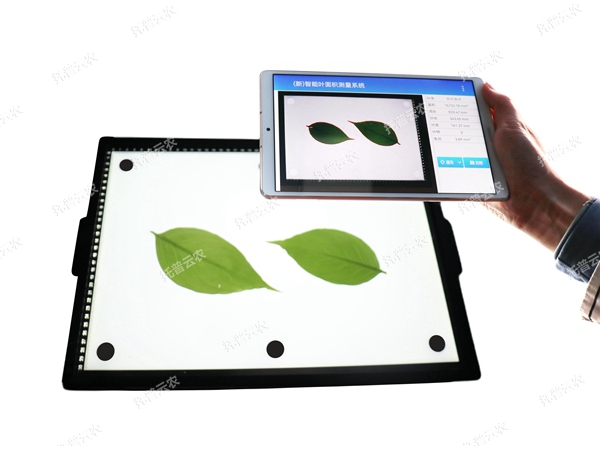 智能葉面積測量系統